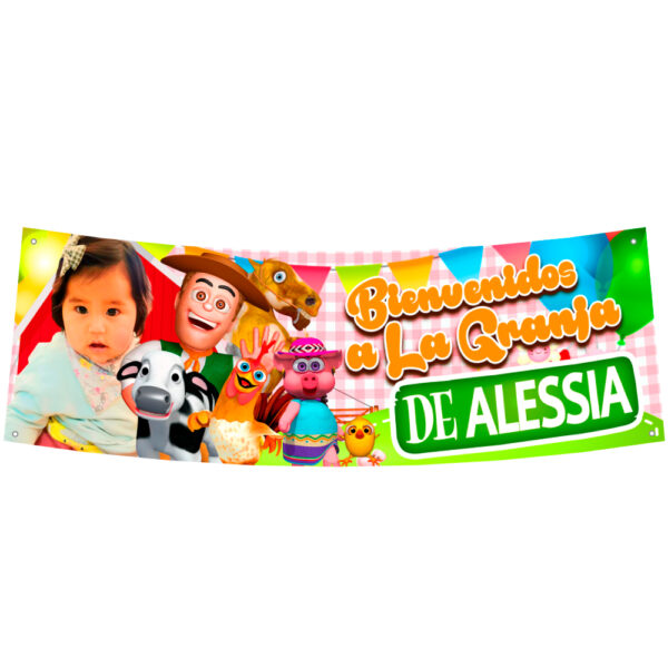 Pendón Lienzo Personalizado PVC 150x50cms - Imagen 2